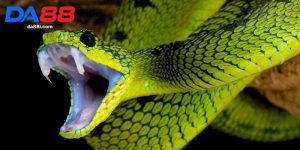 Nằm mơ thấy rắn